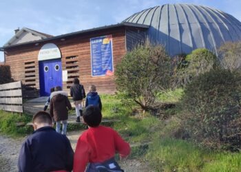 Spectacle au Patadôme pour le cycle 2