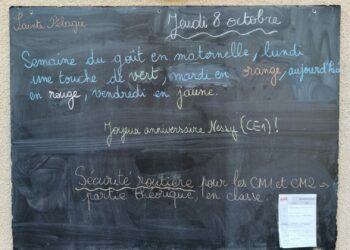 Jeudi 8 octobre 2026 – Sainte Pélagie ! Joyeux anniversaire Nessy en CE1 !
